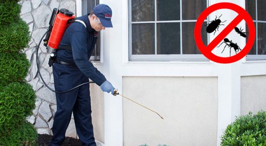 Bingöl Böcek ve Haşere İlaçlama böcek ilaçlama ve haşere kontrolü — ilaclama-tr.com